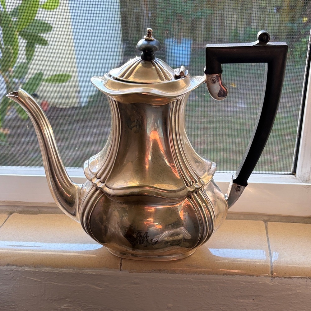 Elegant Silver and Black Teapot